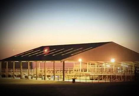 Arena