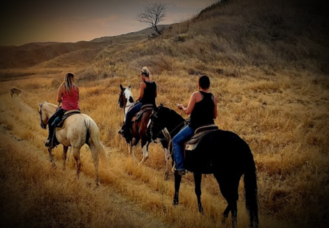 Western Horse Ranch
